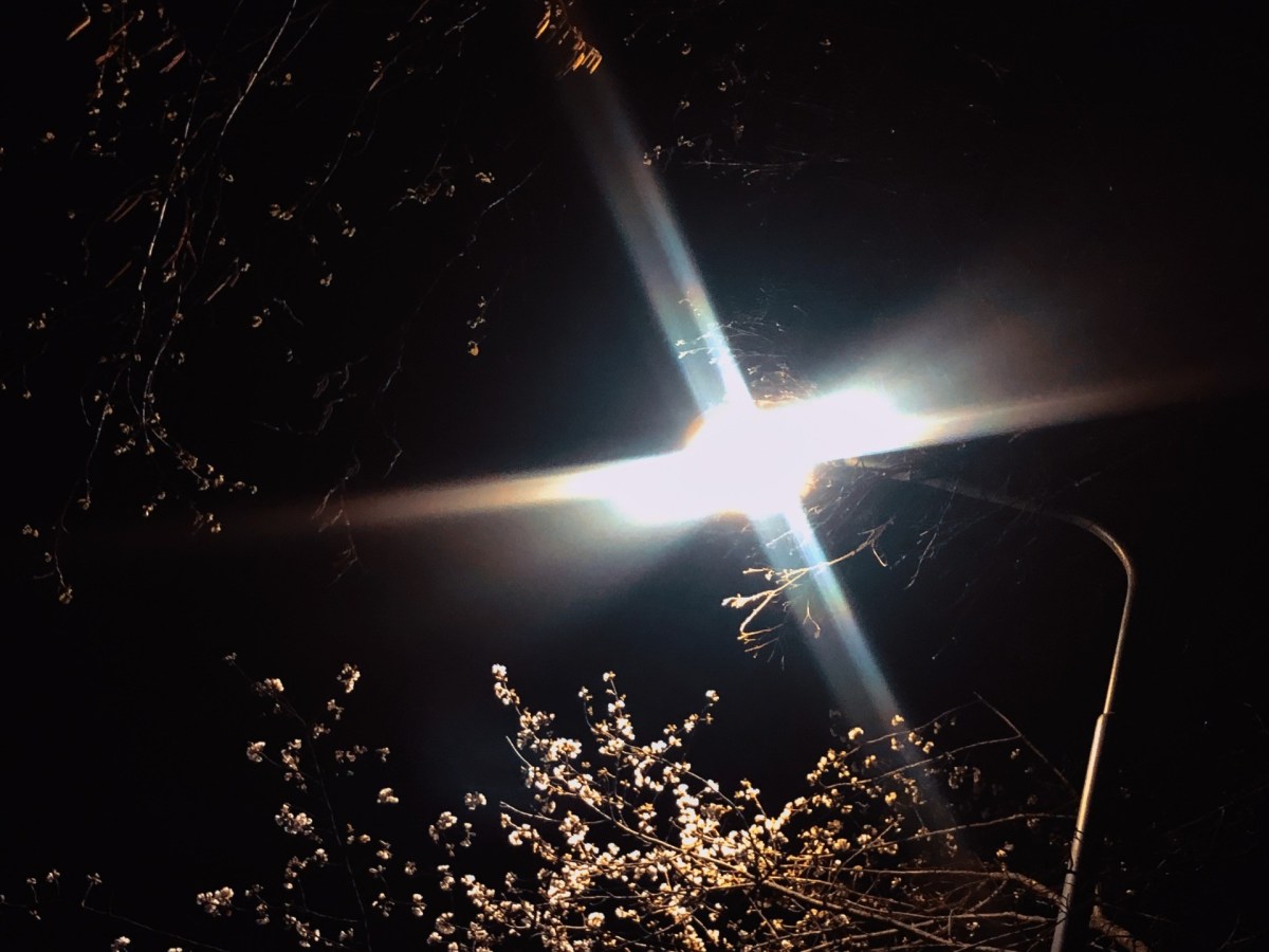 Eröffnungsrede: As long as I´m&nbsp;here