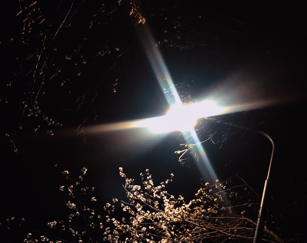 Eröffnungsrede: As long as I´m&nbsp;here