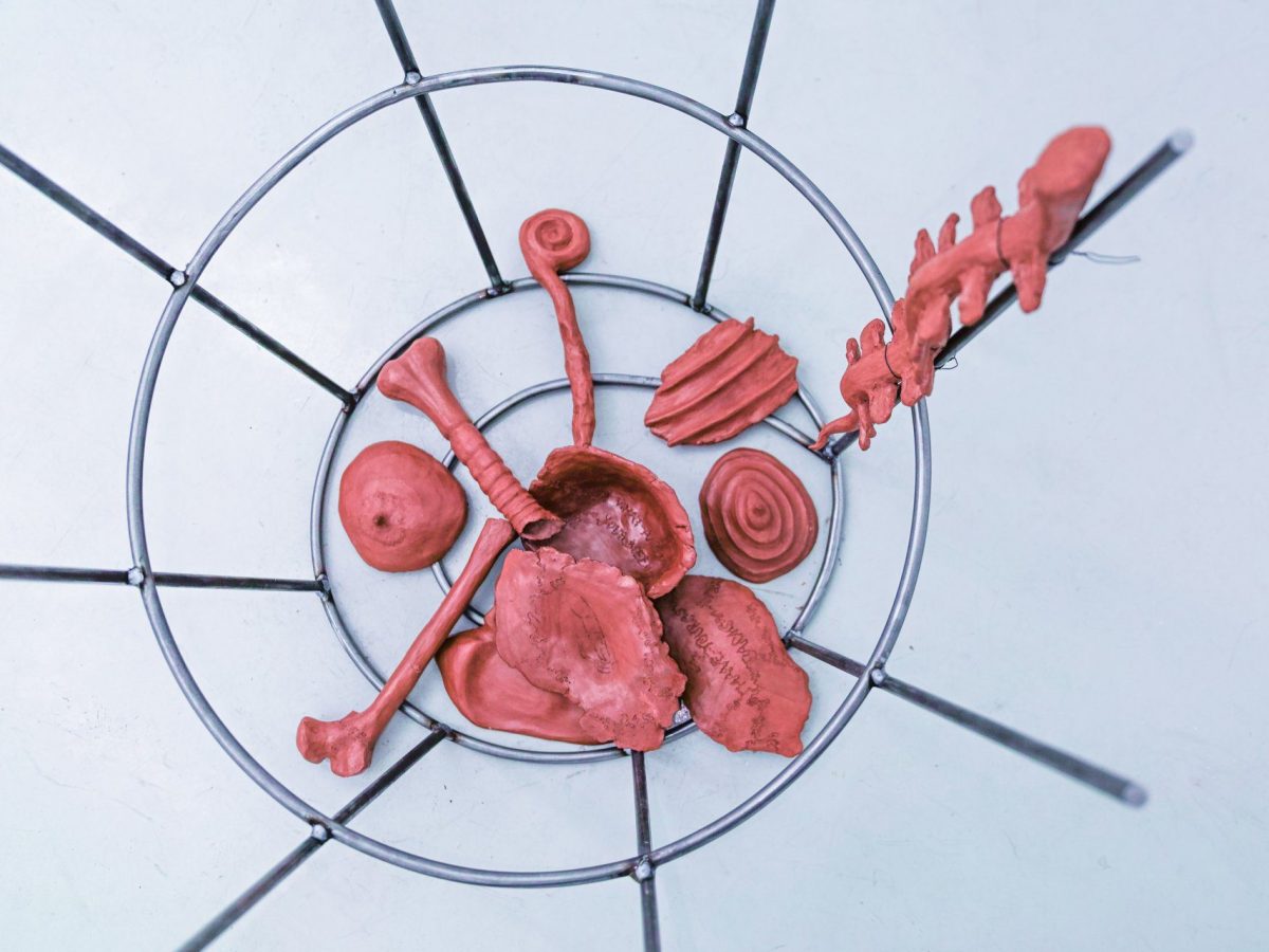 Exhibitiontext: Šnek